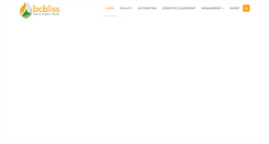 Desktop Screenshot of bcbliss.com